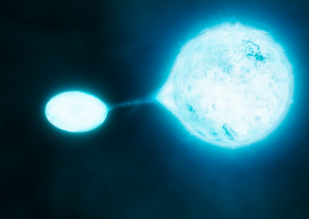 Most Massive Stars Live as Vampires in Close Stellar Pairs